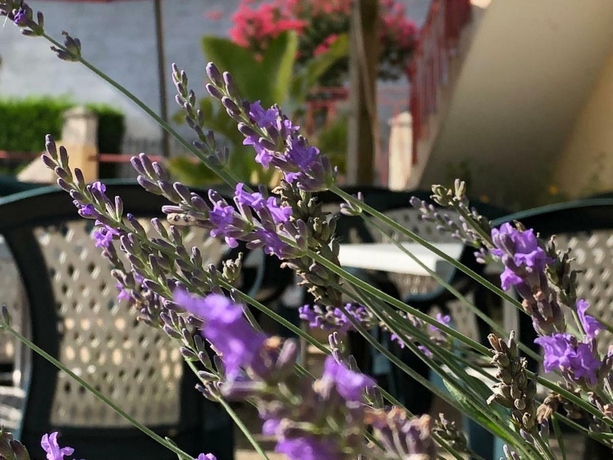 L' Auberge Campagnarde, Lourdes Poueyferré エクステリア 写真